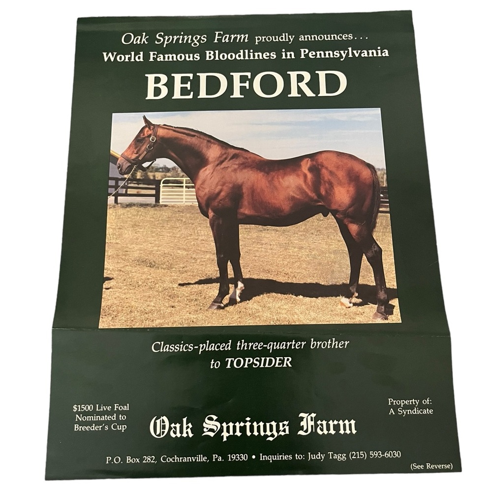Bedford Thoroughbred Horse at Oak Springs Farm Stud Announcement TwoSided Flyer